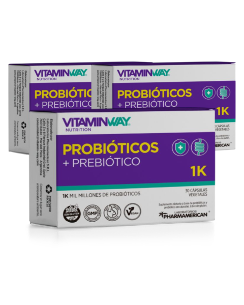 PLAN 90 DÍAS PROBIÓTICOS + PREBIÓTICOS 1K x30
